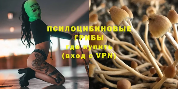 дживик Алексеевка