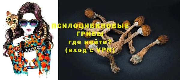 дживик Алексеевка