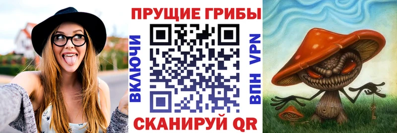 Псилоцибиновые грибы Magic Shrooms  Ковылкино 